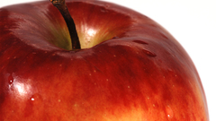 Macro apples white background