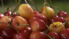 Macro Berries cherries fruits water drops