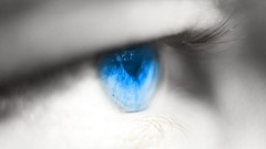 Macro black and white eyes