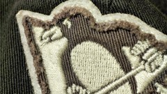 Macro black and white Penguins Pittsburgh Penguins