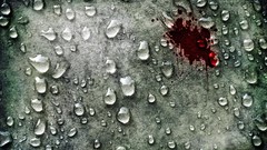 Macro blood water drops