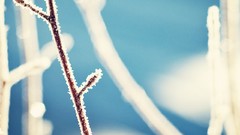 Macro blue cold ice frost