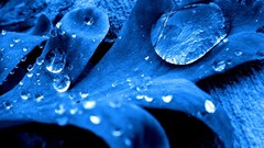 Macro blue water drops