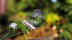 Macro bubbles