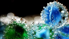 Macro bubbles