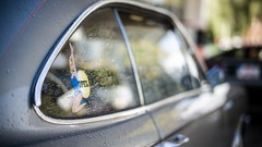 Macro cars Opel water drops Sticker window panes