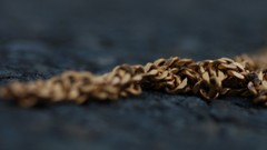 Macro chains
