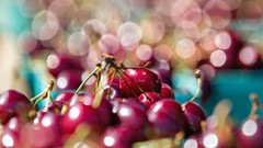 Macro cherries bokeh fruits