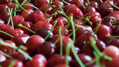 Macro cherries fruits