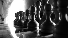 Macro chess monochrome
