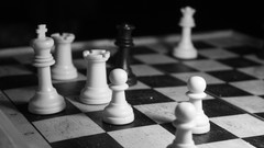 Macro chess monochrome