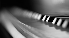 Macro close-up piano monochrome