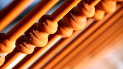 Macro close-up railing fences