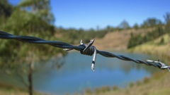 Macro depth of field