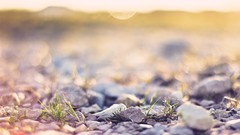 Macro depth of field