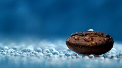 macro depth of field Coffee Beans water drops blue photography