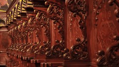 Macro design Wood architecture