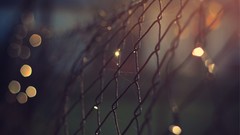Macro drops close-up fences bokeh chains cities surreal Chain 