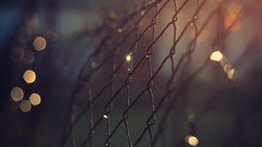 Macro drops close-up fences link bokeh chains cities surreal 
