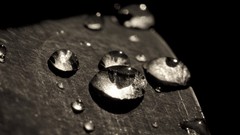 Macro drops grayscale