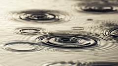 Macro drops water drops