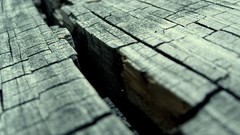 Macro dry wood