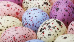 Macro eggs