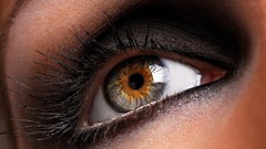 Macro eye close-up brown eyes