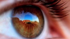 Macro eyes close-up Ayers Rock