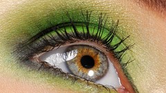 Macro eyes eye pupil shadows