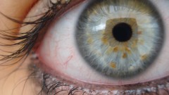 Macro eyes woman blue eyes