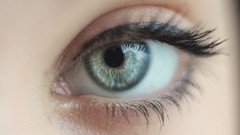 Macro eyes woman eye blue eyes