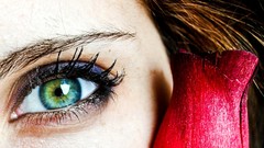 Macro eyes woman eyelashes faces brunettes red rose