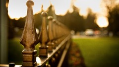 Macro fences bokeh depth of field