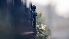 Macro fences bokeh depth of field