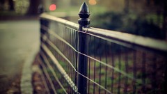 Macro fences depth of field