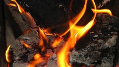 Macro fire Wood Coal