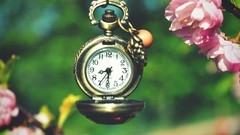 Macro Flowers clocks pocket watch