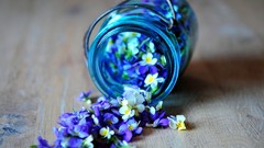 Macro Flowers glass bottles jars