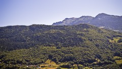 Macro Flowers nature Green Garden skies