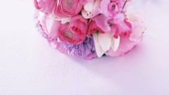 Macro Flowers nature tulips windmills white background holland 