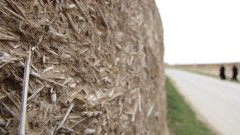 Macro Flowers outdoors iran the wall Amin Peyrovi