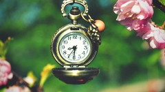Macro Flowers pocket watch