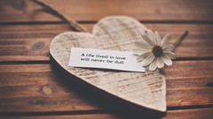 Macro Flowers text Hearts