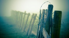 Macro fog nature barbed wire fences depth of field