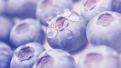 Macro food fruits water drops