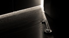 Macro freedom keys monochrome doors