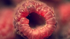 Macro fruits raspberries