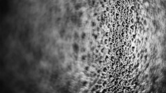 Macro glass close-up grayscale