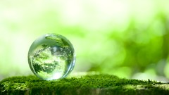 Macro glass moss marbles